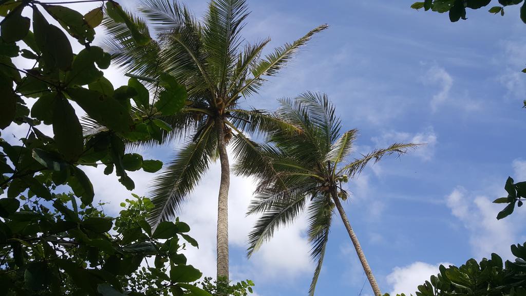 Rumassala Villas Unawatuna Bagian luar foto